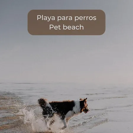 Appartement Candy Cotton - Ac, Desk With Natural Light, Pool, Terrace And High Speed Internet *