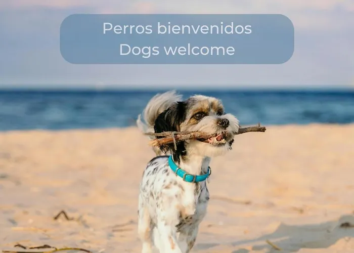 Candy Cotton - Ac, Desk With Natural Light, Pool, Terrace And High Speed Internet