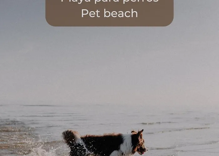 Апартаменты Candy Cotton - Ac, Desk With Natural Light, Pool, Terrace And High Speed Internet *